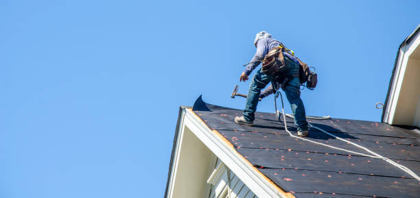 Best Metal Roofing Contractor  in Covington, GA